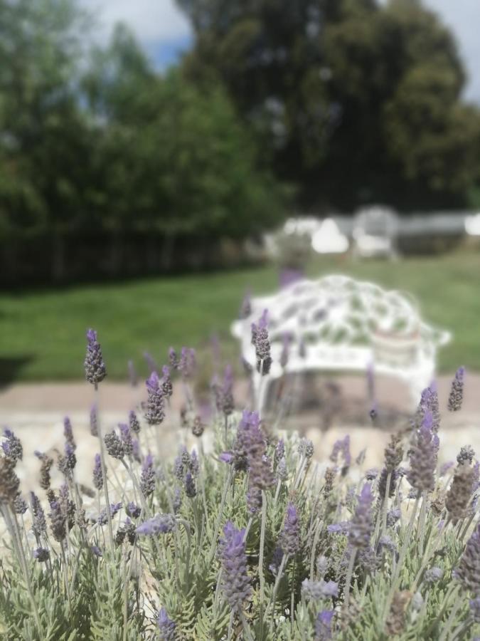 Casona Del Duende Guest House Alájar Екстериор снимка