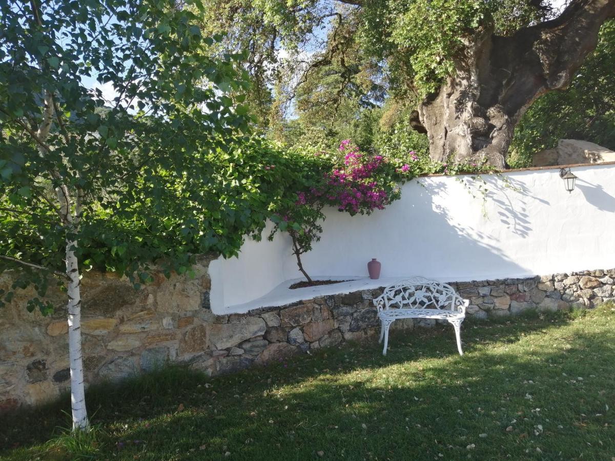 Casona Del Duende Guest House Alájar Екстериор снимка